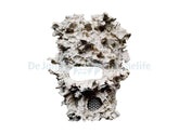 Abyzz Reef Ceramic Cave A200/A400
